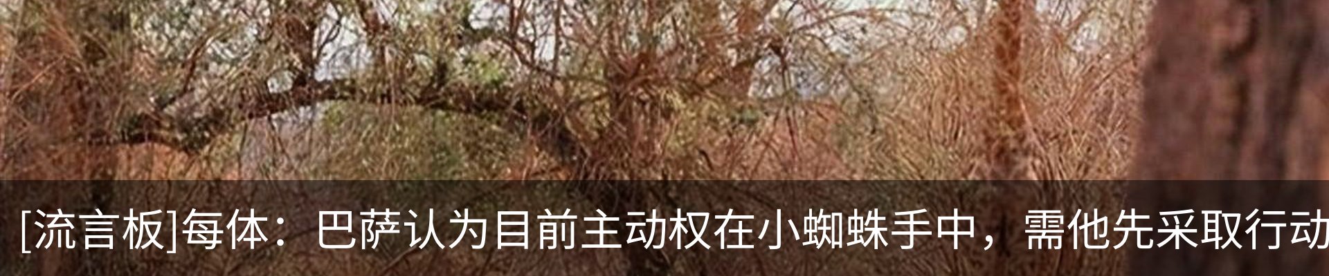 资讯中心